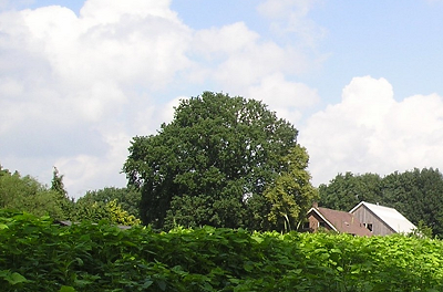 boerderij