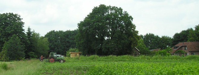 boerderij en land